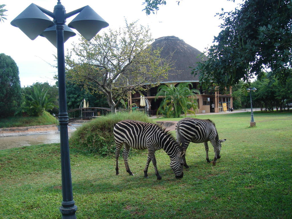 Kaazmein Lodge Livingstone Esterno foto